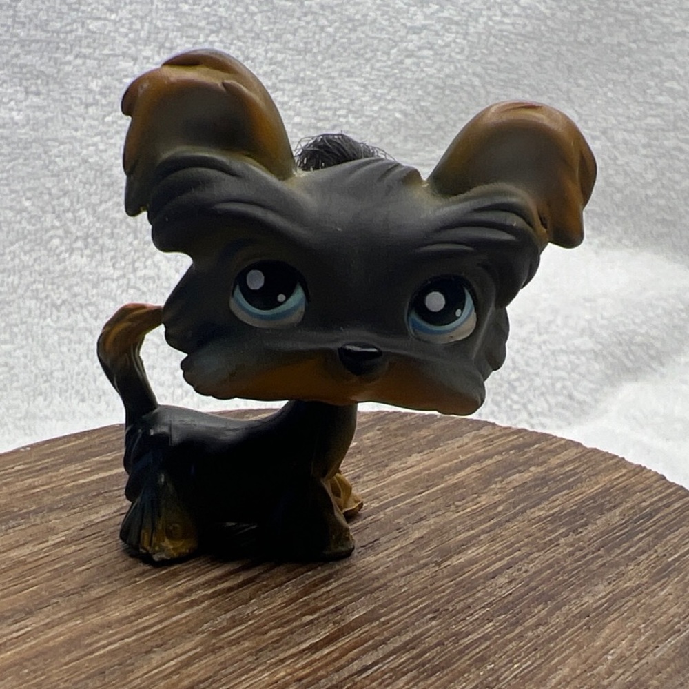 Littlest Pet Shop LPS #141 Yorkie Shihtzu Dog Blue Eyes Hair Red Magnet